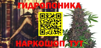 apvp Гусиноозёрск