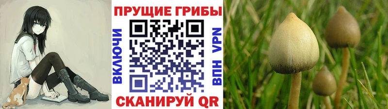 Галлюциногенные грибы ЛСД  Кашира 