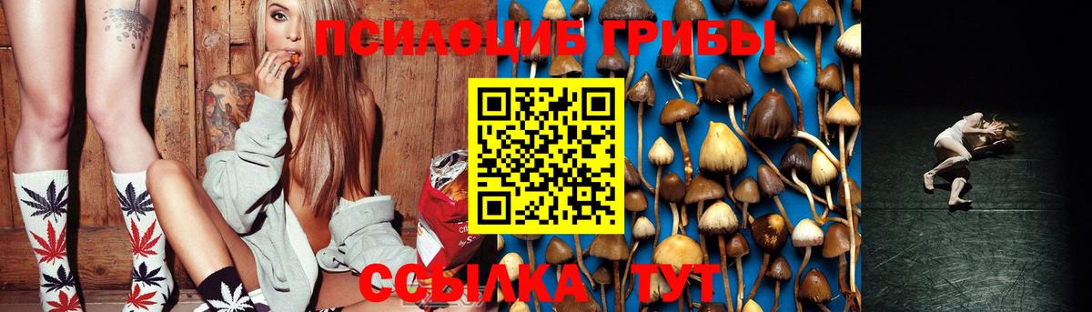 как найти закладки  Псилоцибиновые грибы Cubensis  Вход с VPN  Кашира  Галлюциногенные грибы GOLDEN TEACHER 